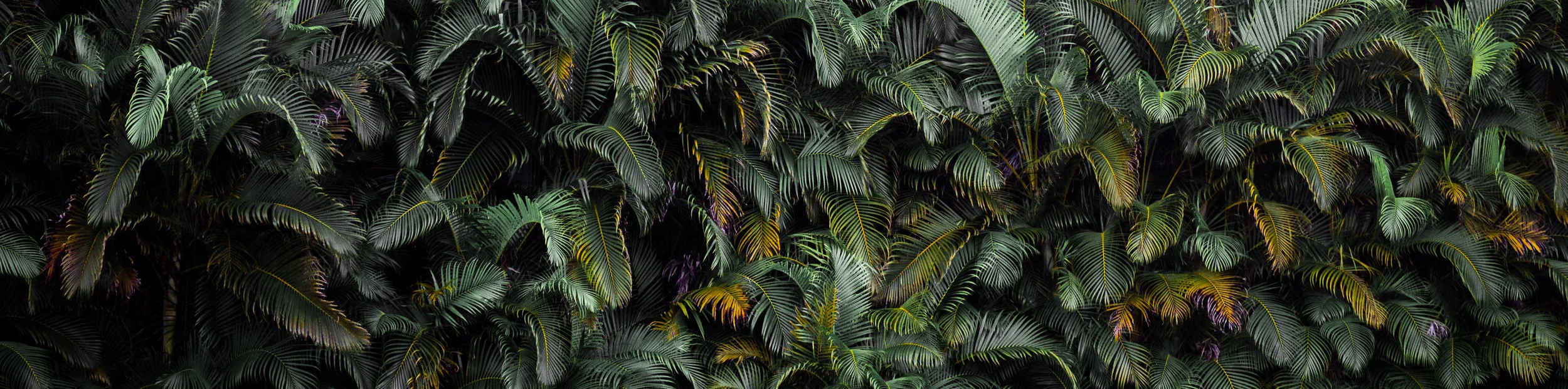 if by Rudyard Kipling